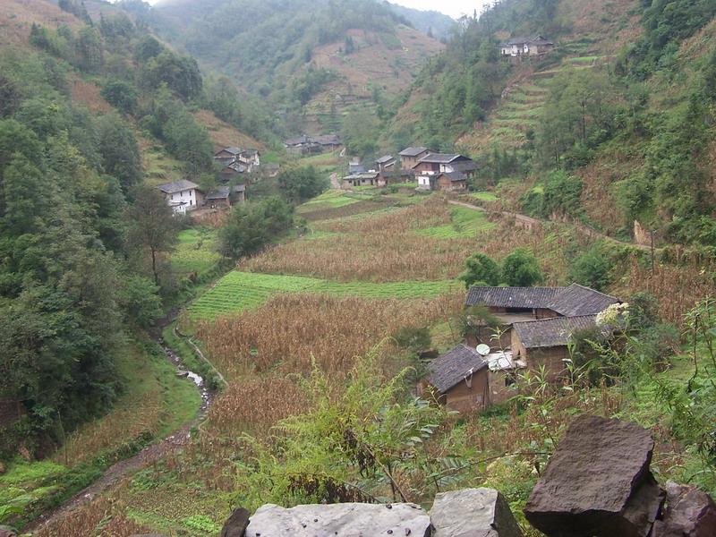 半坡自然村(大灣鎮玉田村委會下轄自然村)