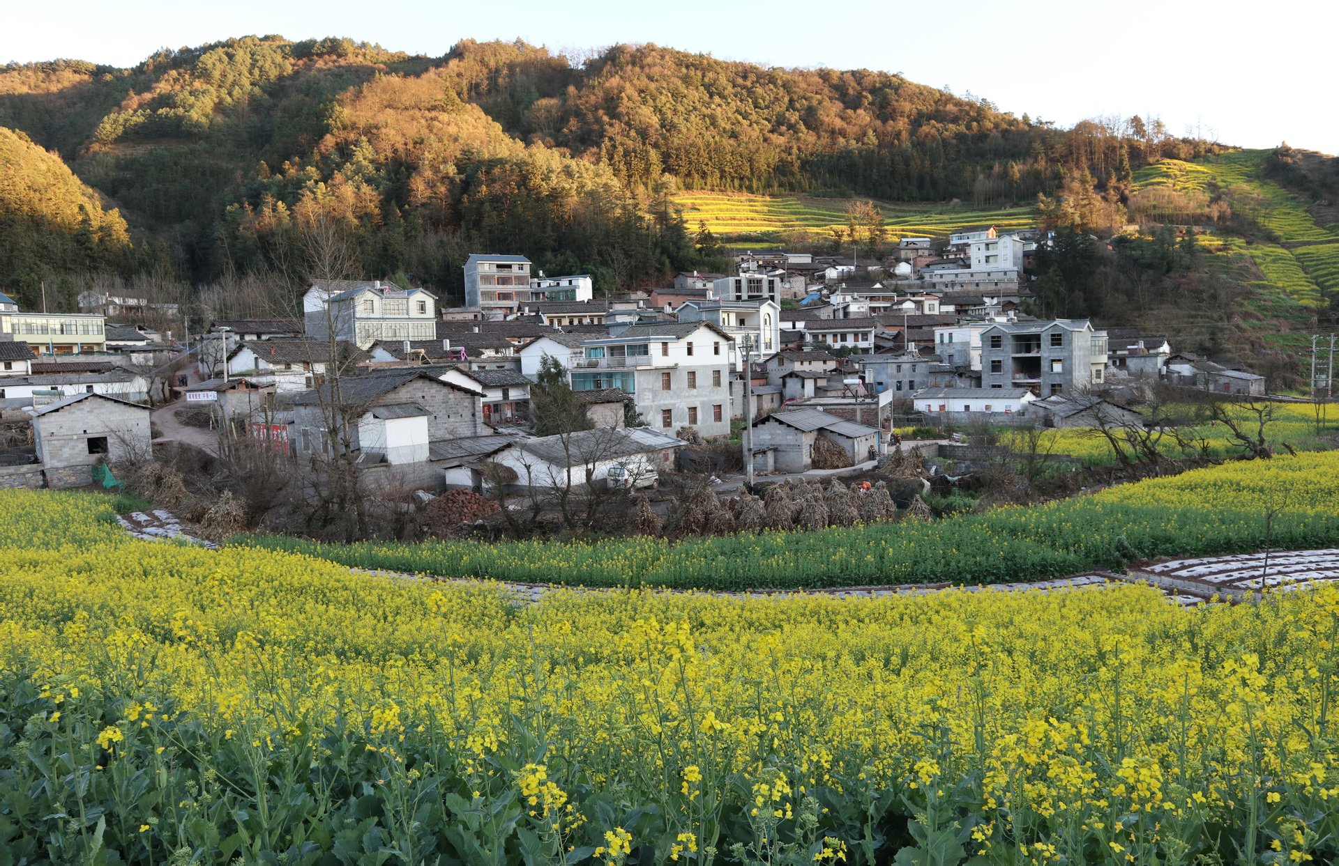 河邊村(雲南省曲靖市羅平縣九龍鎮河邊村)