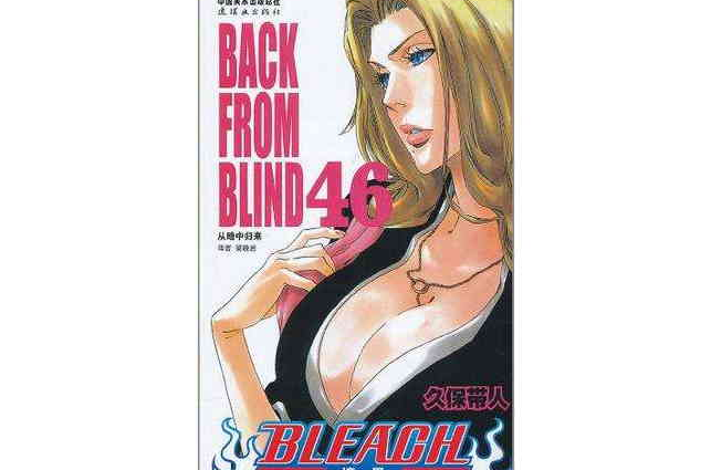 BLEACH 境·界46