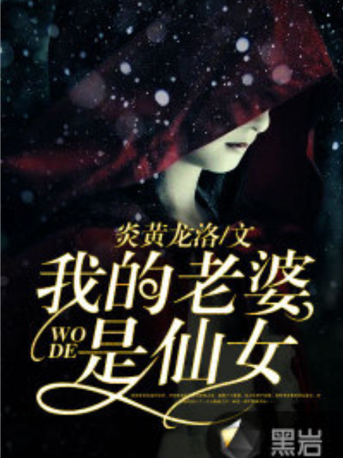 我的老婆是仙女(黑岩網小說)