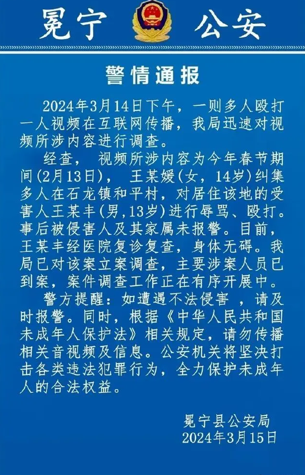 2·13冕寧男孩遭多人毆打事件