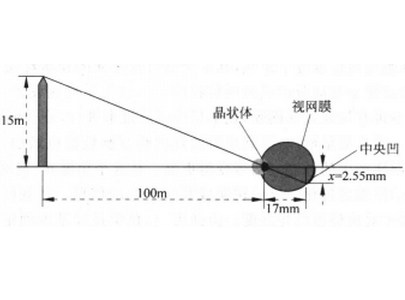 人眼水平橫截面示意圖