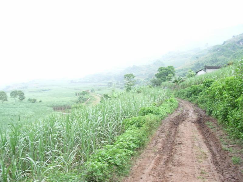 忙牛水村進村道路