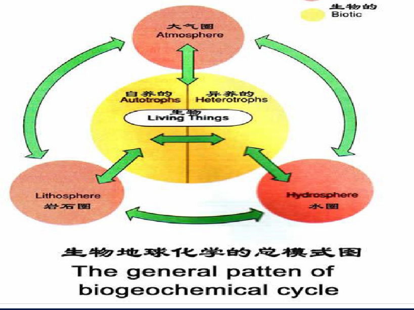 生物地球化學