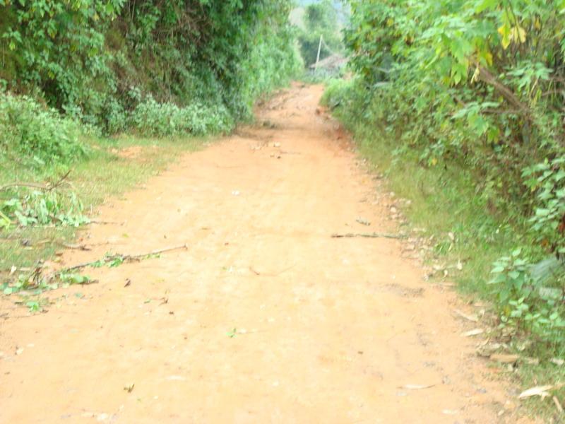 進村道路