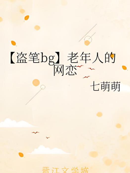 【盜筆bg】老年人的網戀