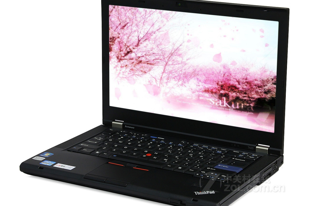 ThinkPad T420(4180AY1)