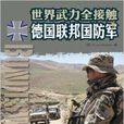 世界武力全接觸：德國聯邦國防軍