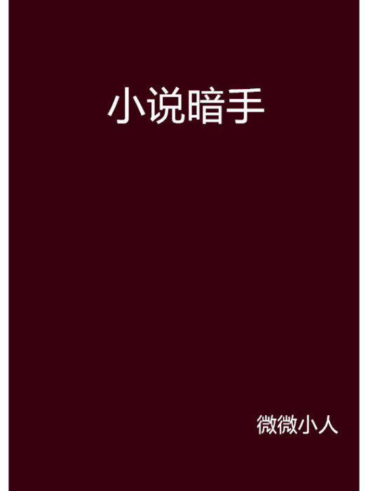 小說暗手