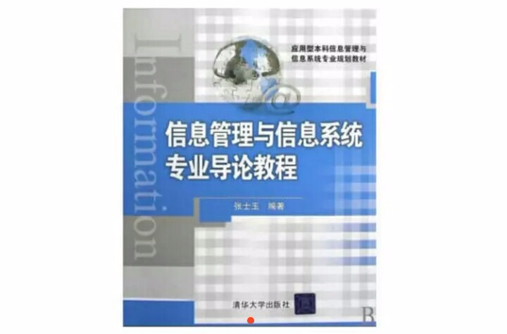 信息管理與信息系統專業導論教程