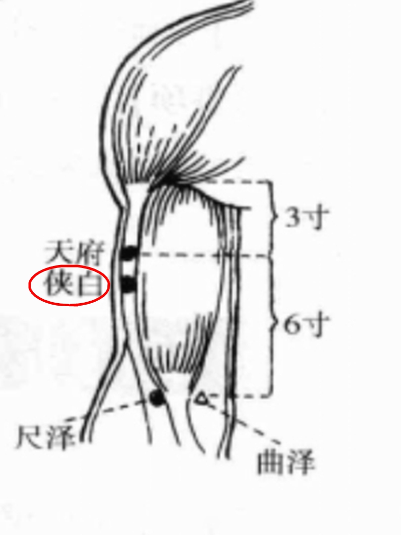 俠白