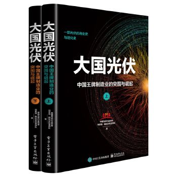 大國光伏：中國王牌製造業的突圍與崛起