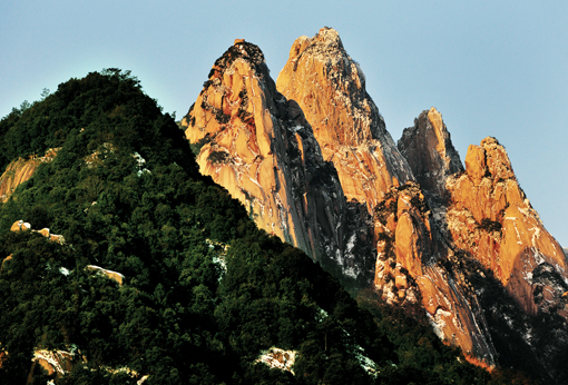 廈門天竺山國家森林公園(廈門天竺山森林公園)