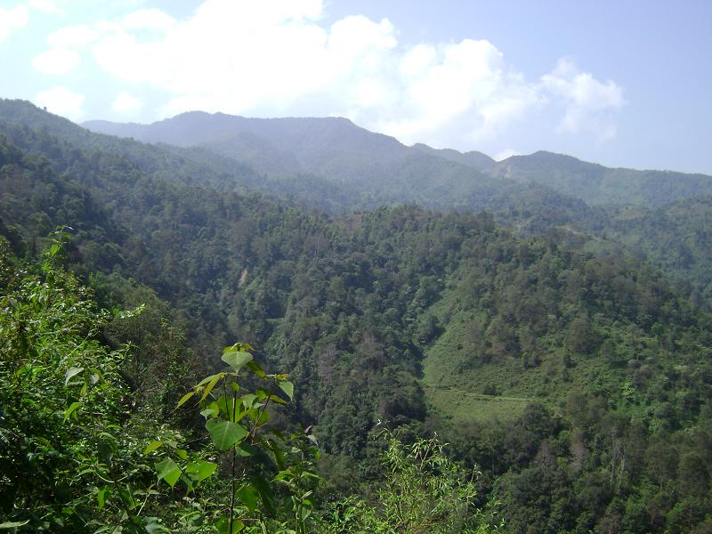 村中山野