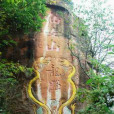 重慶仙女山國家森林公園(重慶武隆仙女山國家森林公園)