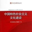 中國特色社會主義文化建設/科學發展觀叢書