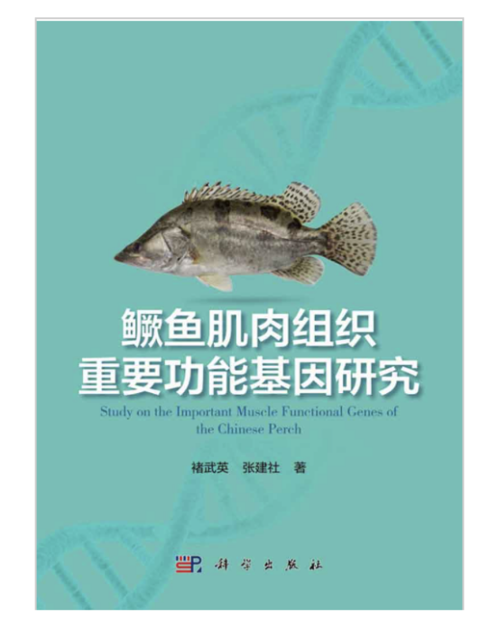 鱖魚肌肉組織重要功能基因研究