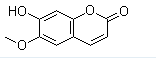 分子結構圖