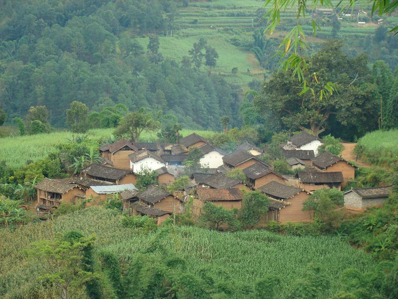 陳家地基自然村