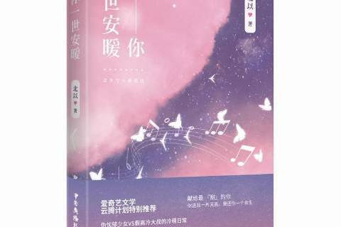 渡你一世安暖(2019年中國廣播影視出版社出版的圖書)