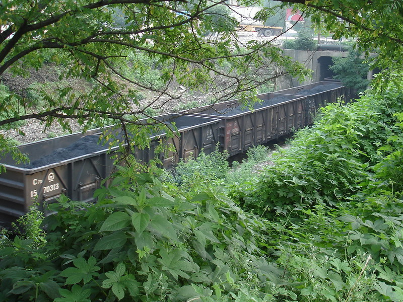 雞冠山鎮