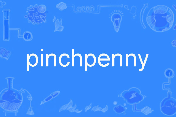 pinchpenny