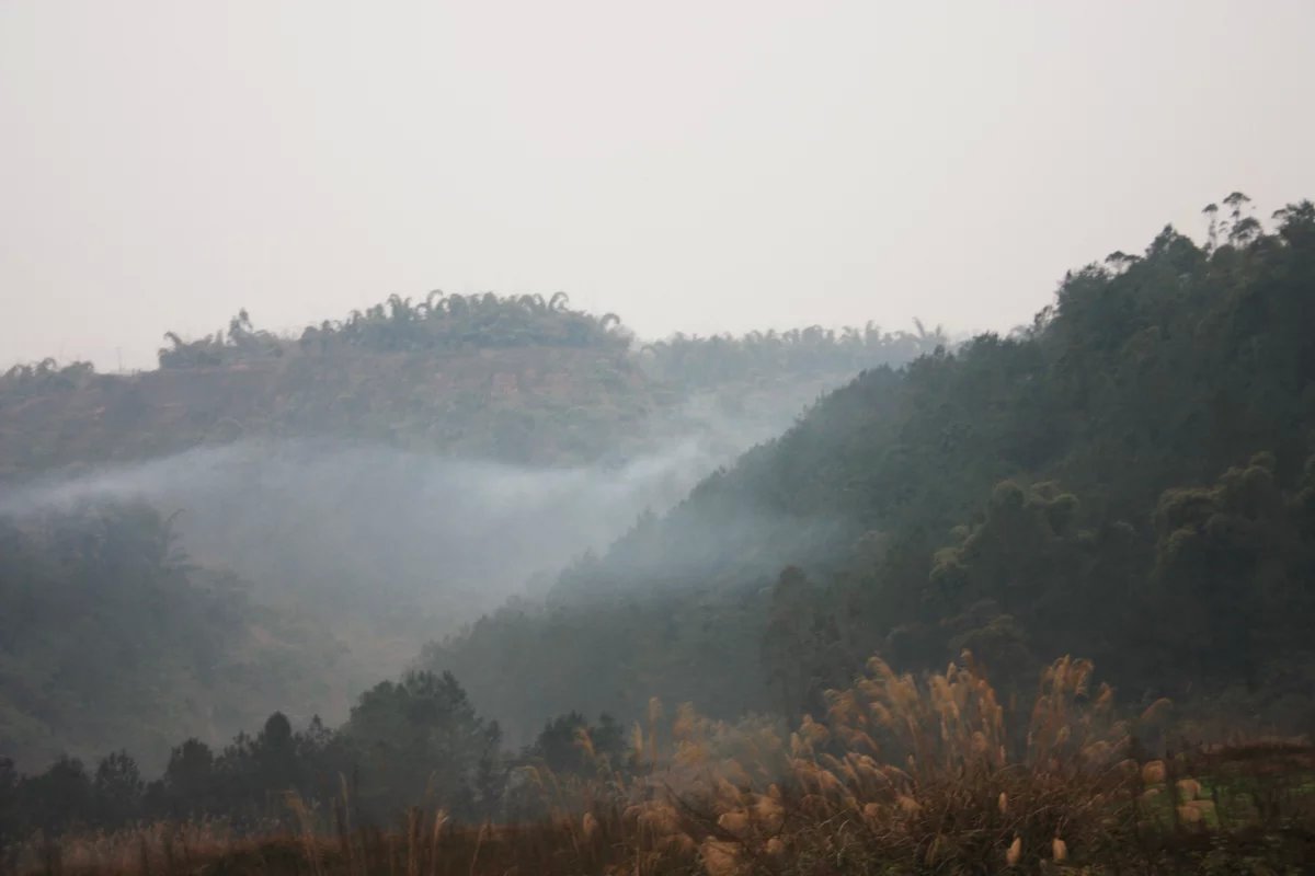 躍進村(四川省宜賓市敘州區孔灘鎮下轄村)