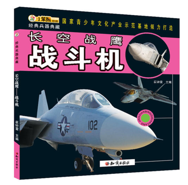 經典兵器典藏：長空戰鷹·戰鬥機