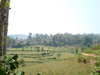 上迤茂村