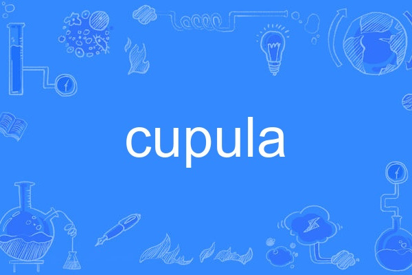 cupula