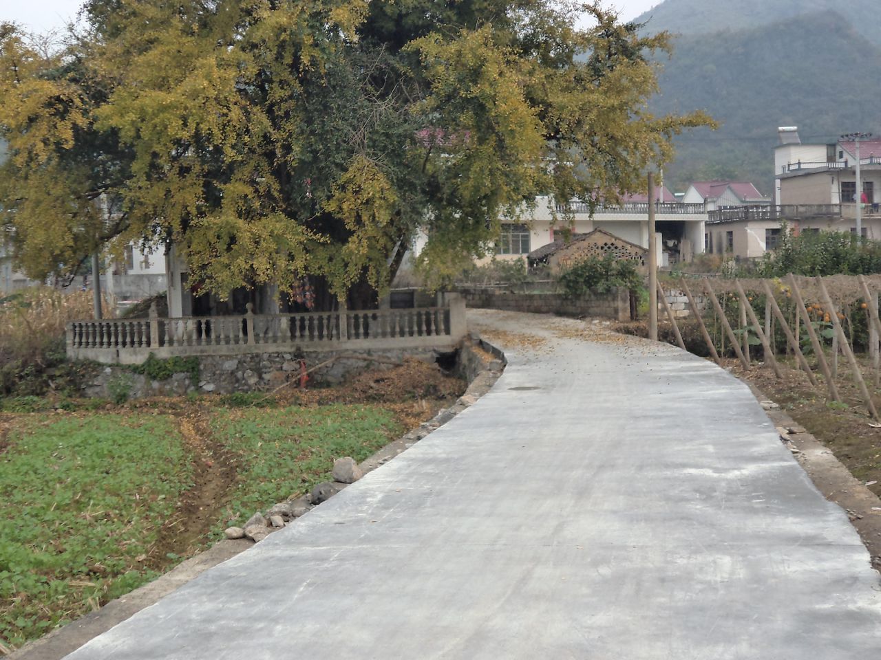 東風村(四川省成都市青白江區人和鄉東風村)