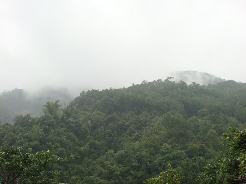 上三壩村