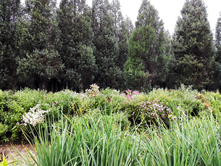 田村城市休閒森林公園