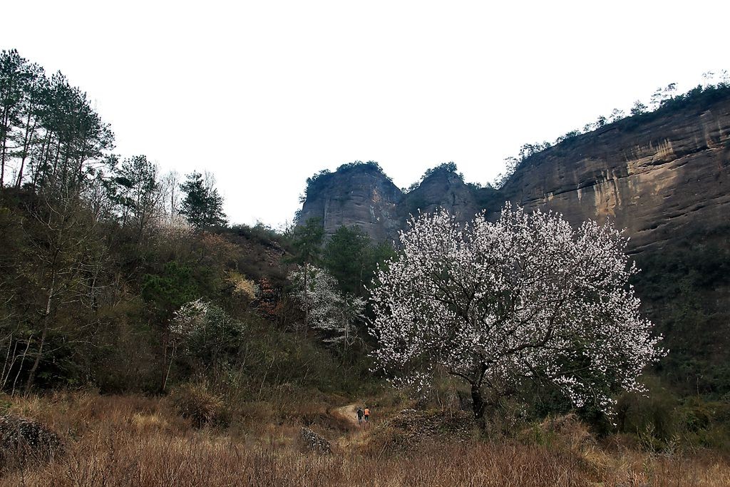 雲集鄉