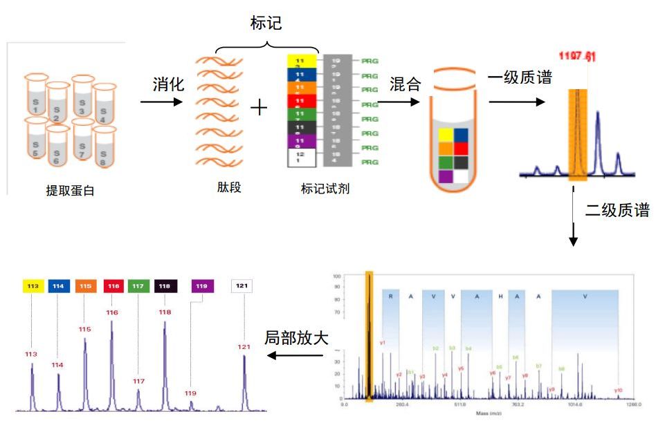 同位素標記物(同位素標記化合物)