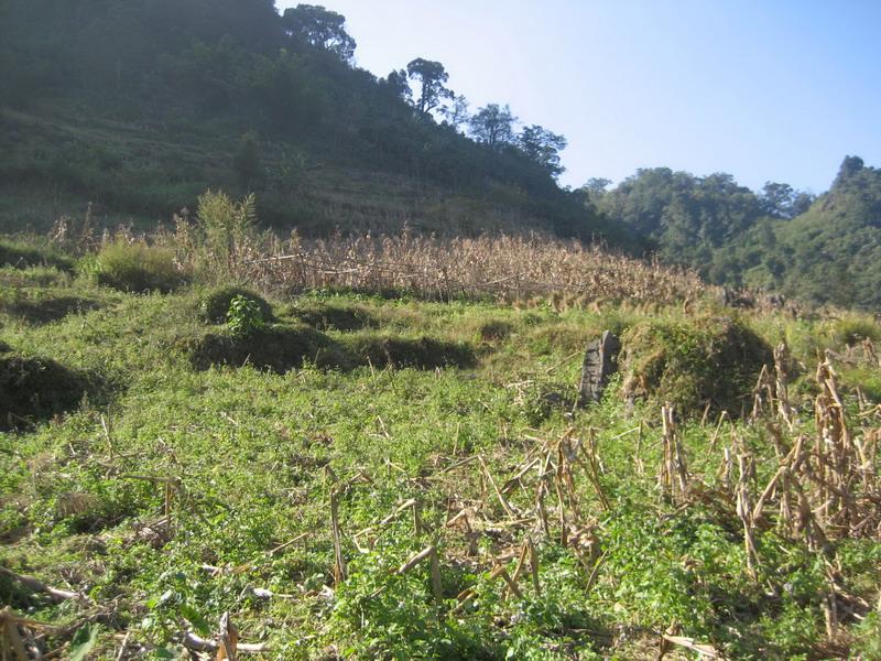 麻布沖自然村