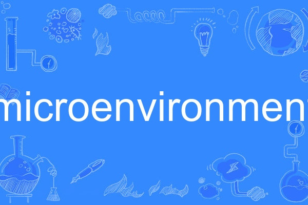 microenvironment