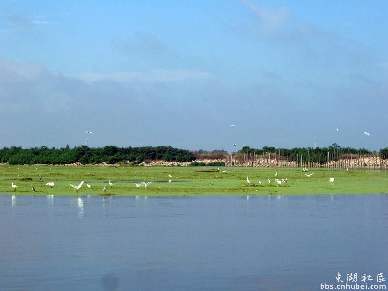 青海都蘭阿拉克湖國家濕地公園