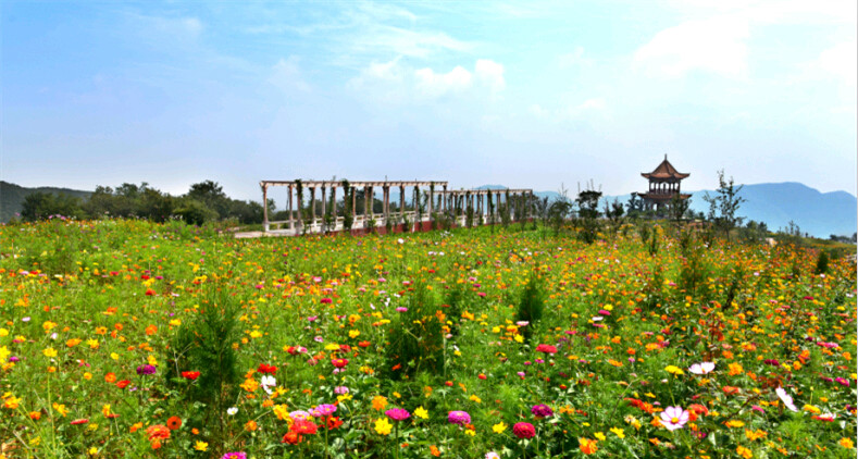 黛眉山雲頂花園