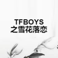 TFBOYS之雪花落戀