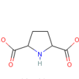 (2R,5R)-吡咯啉-2,5-二羧酸