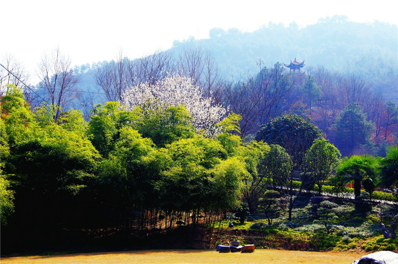 十堰市龍泉寺