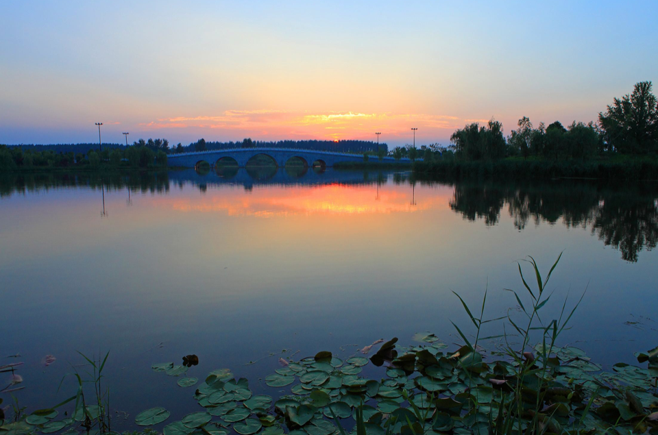 大豐東方濕地公園