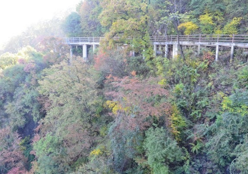 陝西少華山國家森林公園