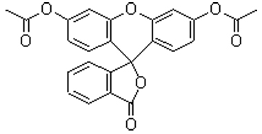 螢光素二乙酸鹽