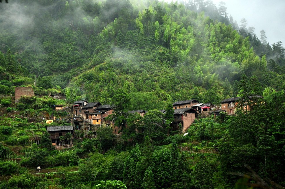 岩後村(浙江省慶元縣竹口鎮岩後村)