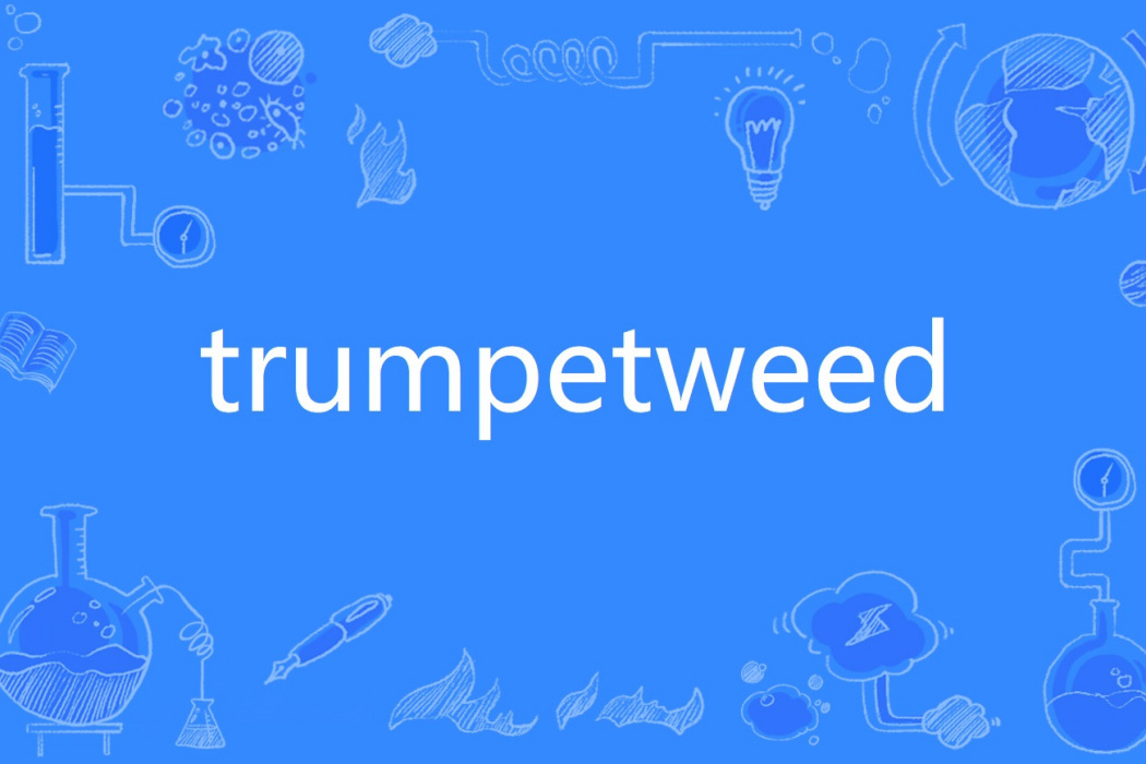 trumpetweed