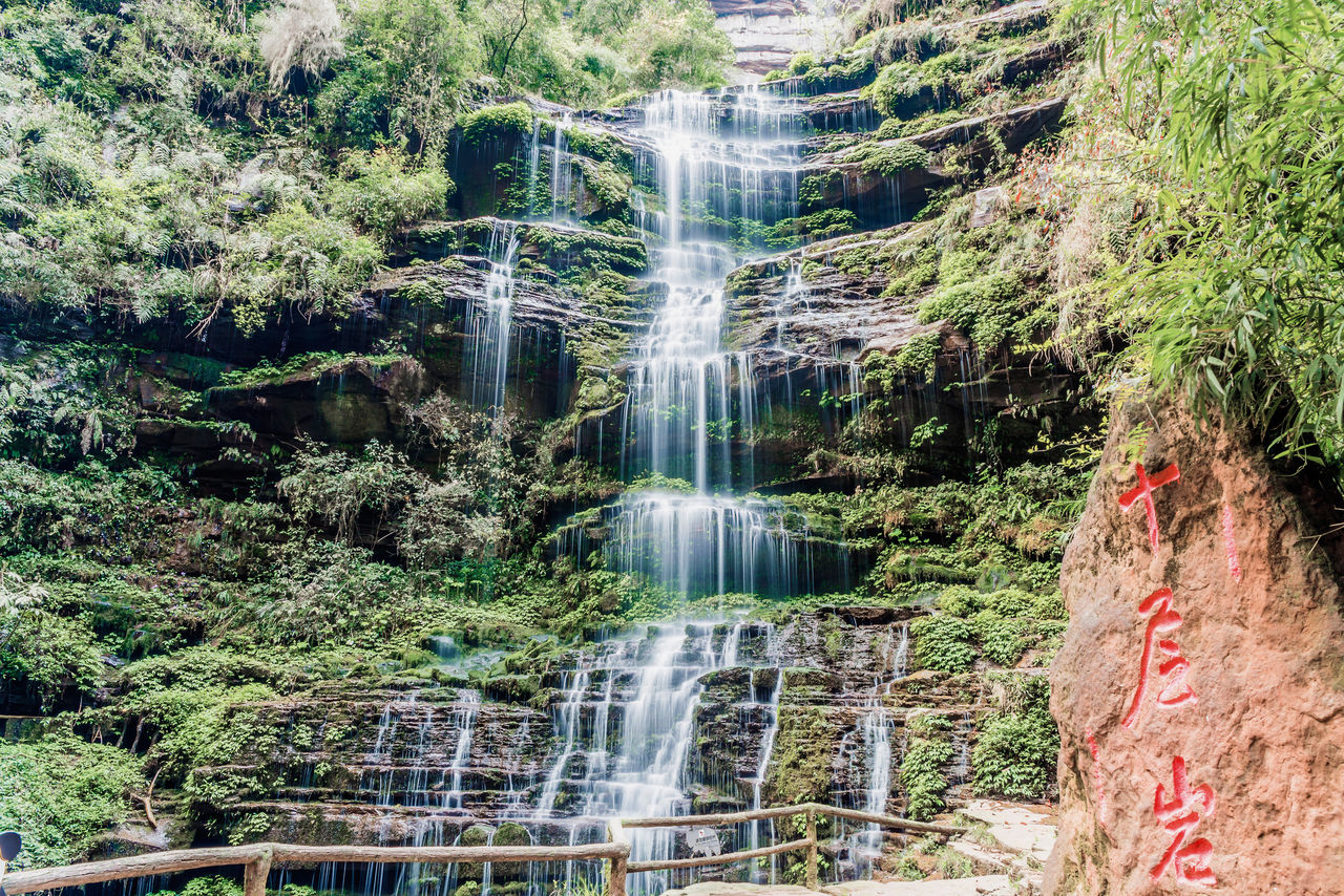 雅安碧峰峽