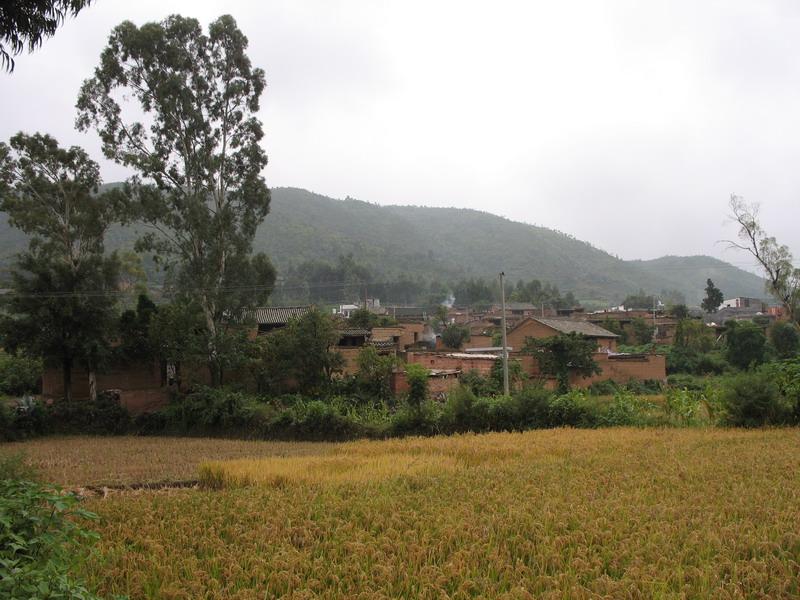 下白寺村