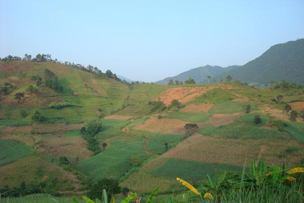 回龍井自然村